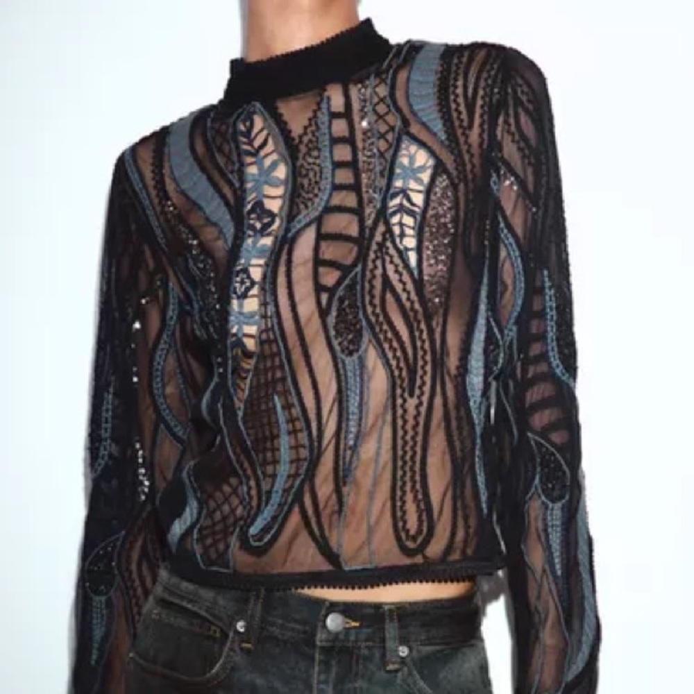 Zara Sheer Long Sleeve Top